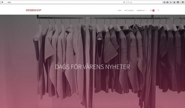 Migrera WordPress-Installation från ett webbhotell till ett annat utan plugins